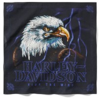 Lightning Eagle Bandana