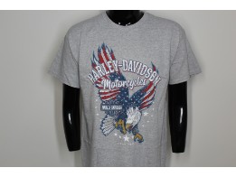 Herren T-Shirt 'Flying Patriot'