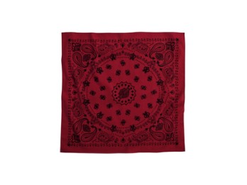 Bandana 'American Heritage'