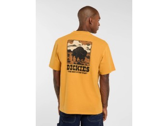 Darrtown mittelschweres T-shirt dunkel gelb