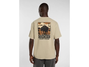 Darrtown mittelschweres T-shirt grün beige