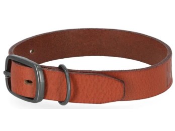 Harley-Davidson® Hunde Halsband, braun