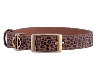 Rally Armband "Leopard - Gold"
