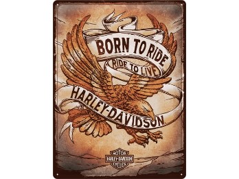 Blechschild 'Born To Ride Eagle'