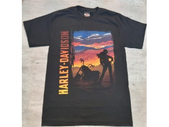 Herren Shop Shirt 'Sunset Rider'