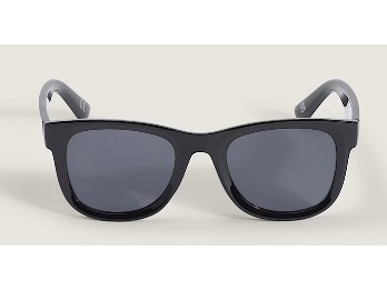 VANS Sonnenbrille 'Spicoli'