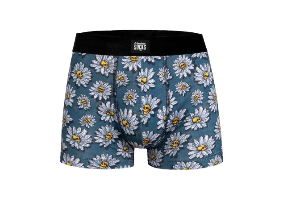 ASU027L, Boxer Daisies