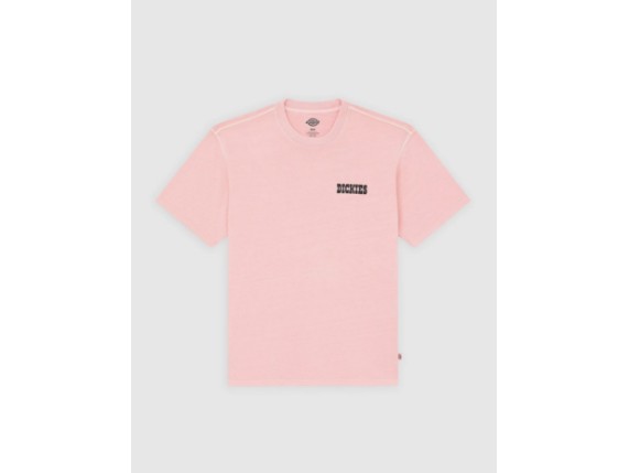 Buchtell rose1
