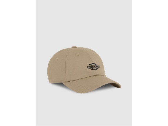 DK0A4Z6N0DS1, Dickies Essential Dad Cap