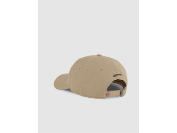 DK0A4Z6N0DS1, Dickies Essential Dad Cap