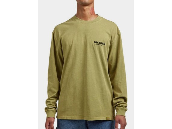 DK0A87QFL201, Dickies T-Shirt 'Harbour'