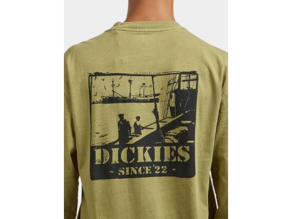 DK0A87QFL201, Dickies T-Shirt 'Harbour'