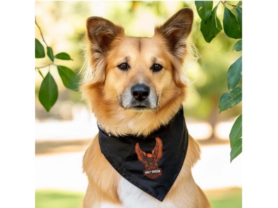 HDX-90218, Hunde-Bandana "Eagle"