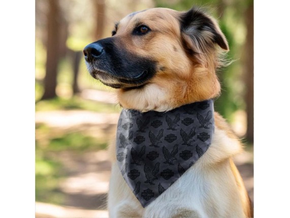 HDX-90220, F25 Hunde-Bandana "B&S Eagle"