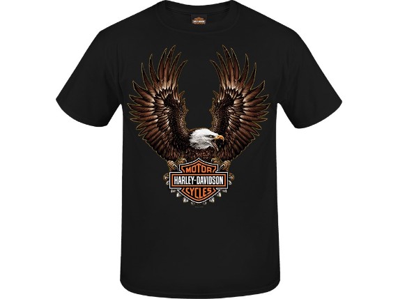 R0042743, Herren Shop Shirt 'Eagle Scream'
