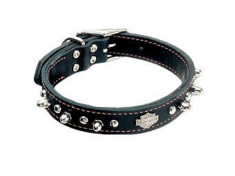 Leather Spike Collar - BLK with Oran