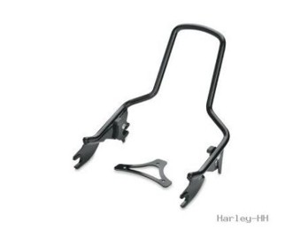 SISSY BAR UPRIGHT, STANDARD, G