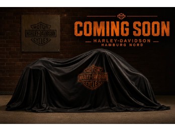 FLTRXL Road Glide Limited