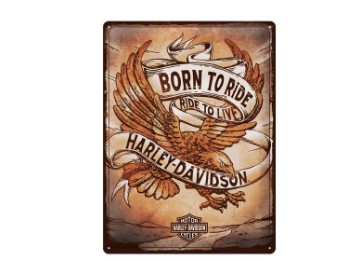 Harley-Davidson Born to Ride Eagle