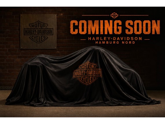 HARLEY-DAVIDSON FXBB Softail Street Bob, 0017599