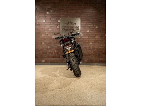HARLEY-DAVIDSON RA1250S Pan Am America Special, 0017655
