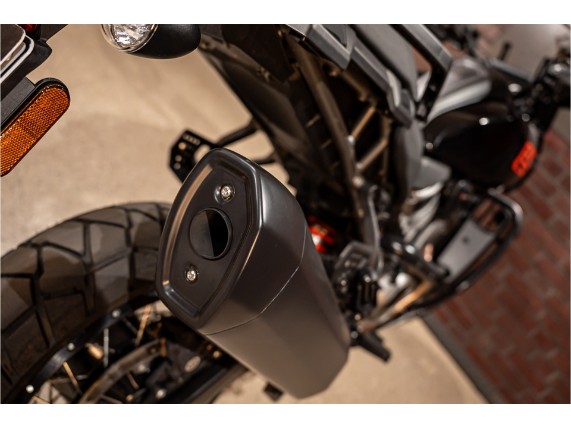 HARLEY-DAVIDSON RA1250S Pan Am America Special, 0017655