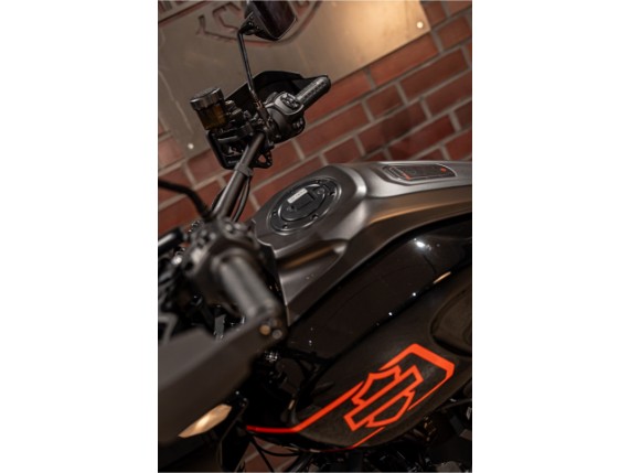 HARLEY-DAVIDSON RA1250S Pan Am America Special, 0017655
