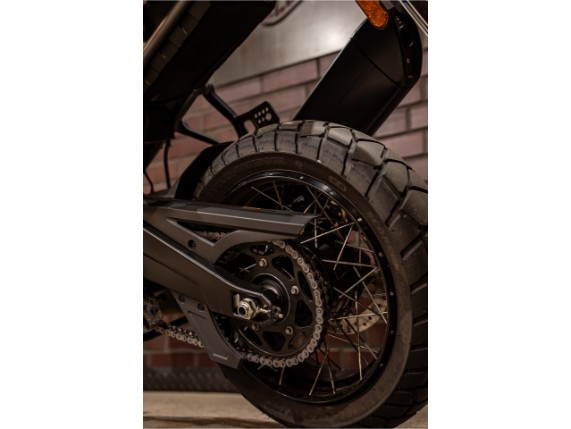 HARLEY-DAVIDSON RA1250S Pan Am America Special, 0017655