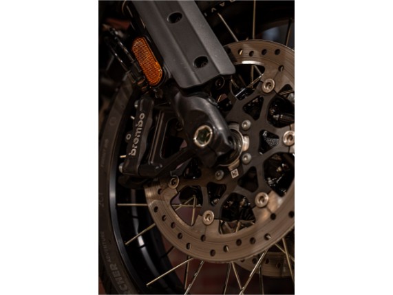 HARLEY-DAVIDSON RA1250S Pan Am America Special, 0017655