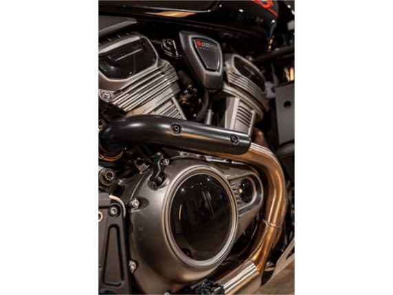 HARLEY-DAVIDSON RA1250S Pan Am America Special, 0017655