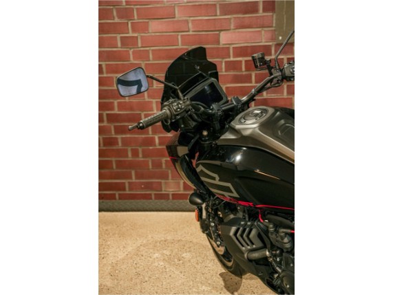 HARLEY-DAVIDSON RA1250ST Pan Am America ST, 0017548
