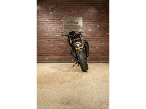 HARLEY-DAVIDSON RA1250ST Pan Am America ST, 0017949