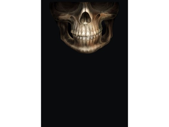 monkey-11437-pi-s-15