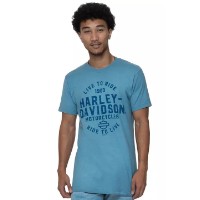 Harley-Davidson Dealershirt Männer mit Backprint Lübeck Holstentor