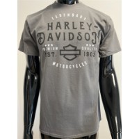 Harley-Davidson T-Shirt Flagged Grau