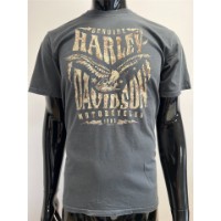 Harley-Davidson T-Shirt Rusty Stone Grau