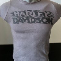 Harley-Davidson T-Shirt Hang on Grau