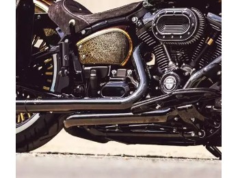 Harley-Davidson Getriebeabdeckung seitlich Schwarz