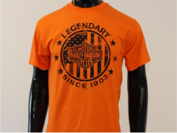 T-Shirt, Direct Course, Harley-Davidson, Orange