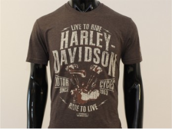 T-Shirt, Defiance, Harley-Davidson, Braun
