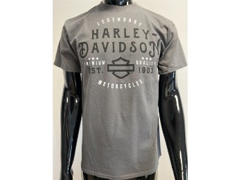 Harley-Davidson T-Shirt Flagged Grau