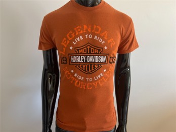 T-Shirt, Motor Anthem, Harley-Davidson, Orange