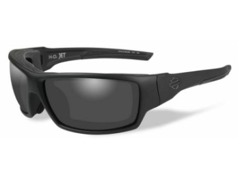 Harley-Davidson Sonnenbrille Wiley X grau getönt