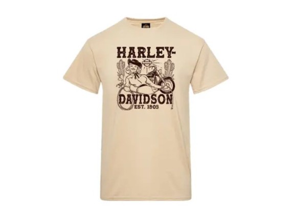 40294930v-harley