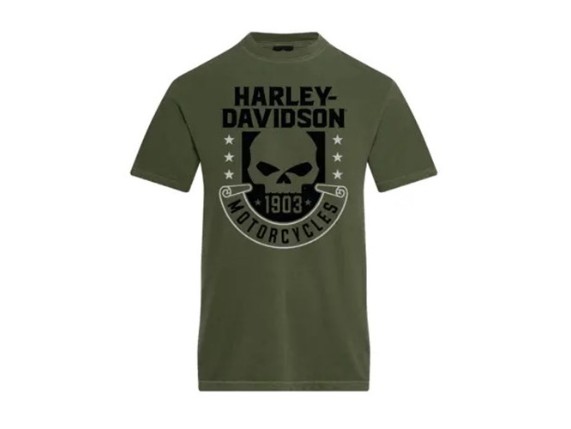 40294931v-harley