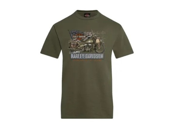 40294938v-harley
