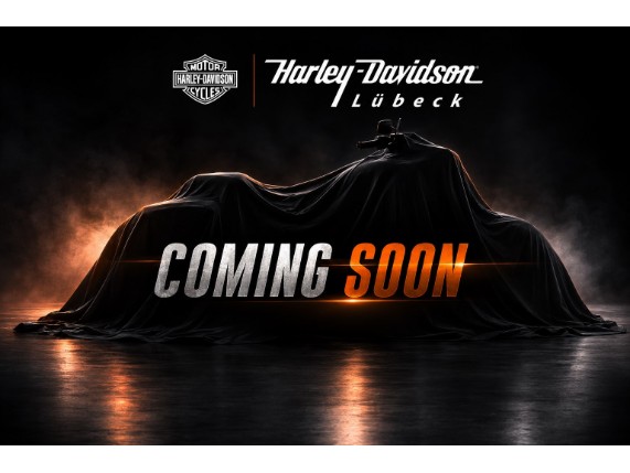 Harley-Davidson FLFBS Fat Boy 114 GNTGRYMTL/B, 0002485