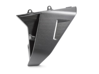 Winglet