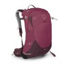 Elderberry Purple