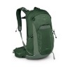 Green Canopy / Pine Leaf